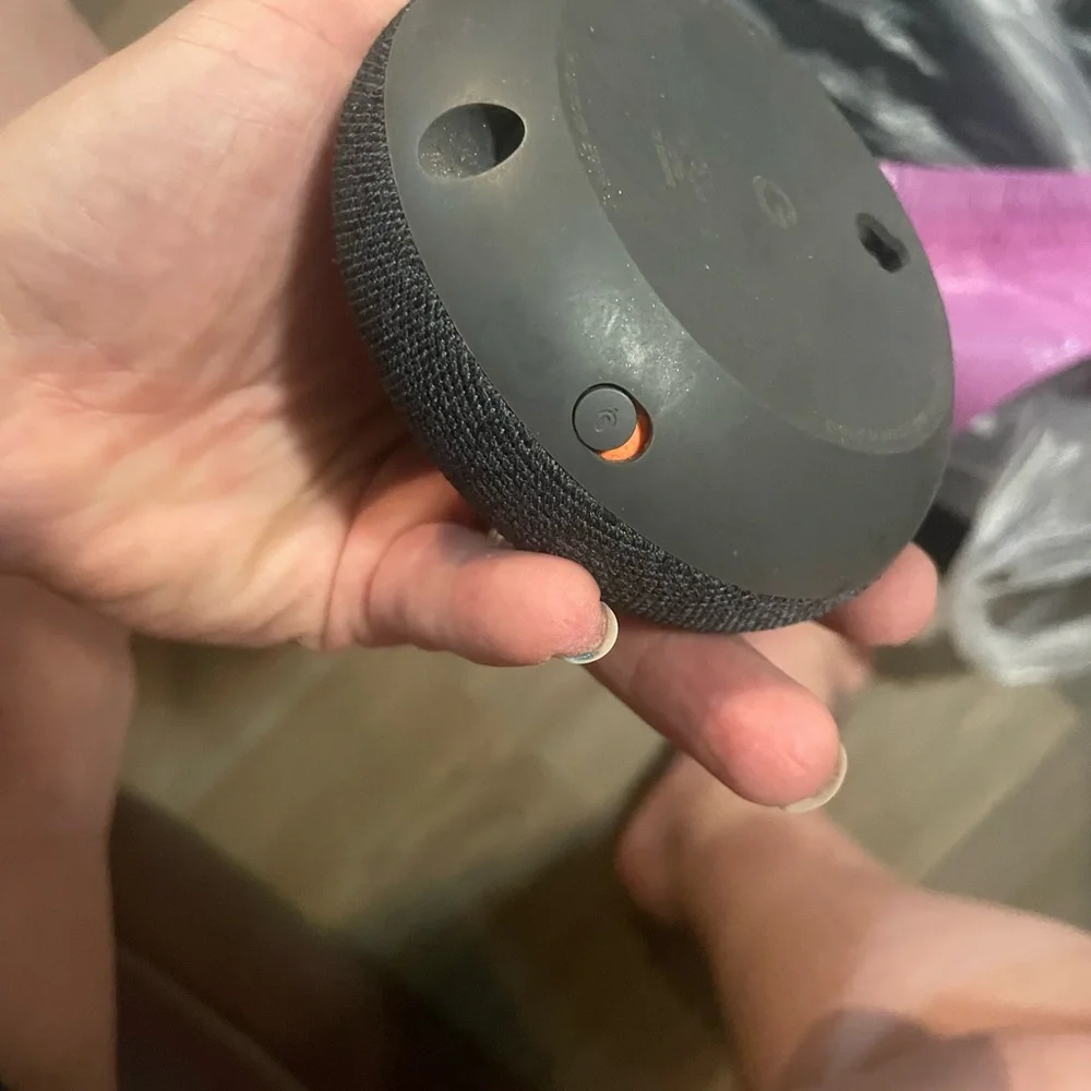 Google nest speaker